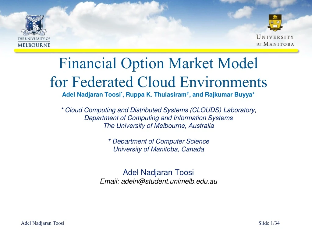 financial option market model for federated cloud