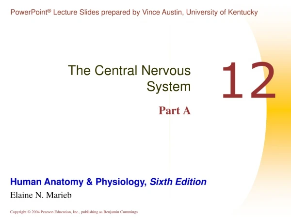 The Central Nervous System Part A