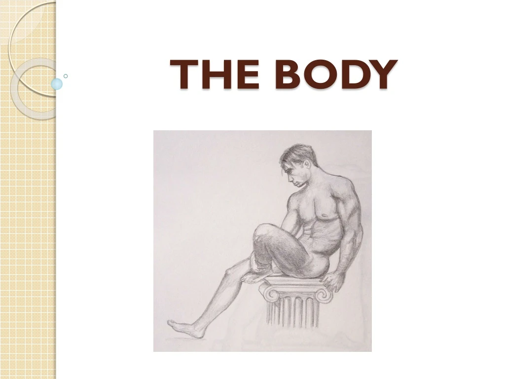 the body