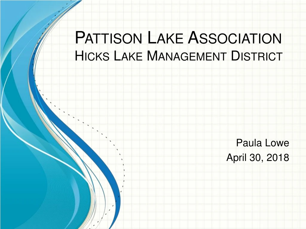 pattison lake association hicks lake management district