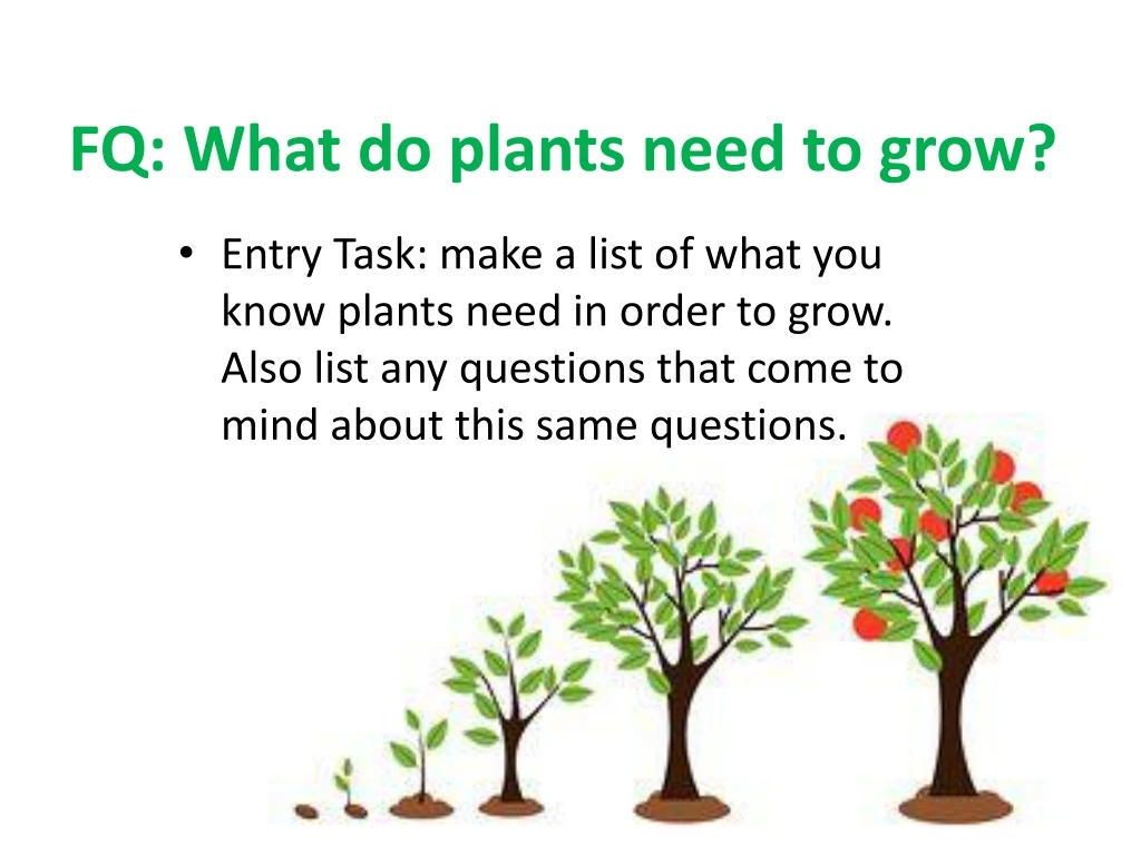 fq what do plants need to grow