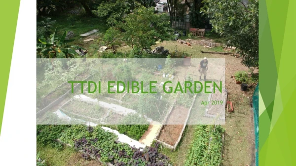 TTDI EDIBLE GARDEN