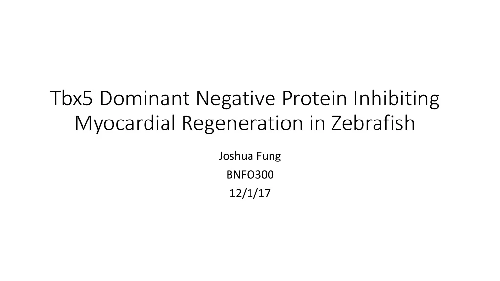 tbx5 dominant negative protein inhibiting myocardial regeneration in zebrafish