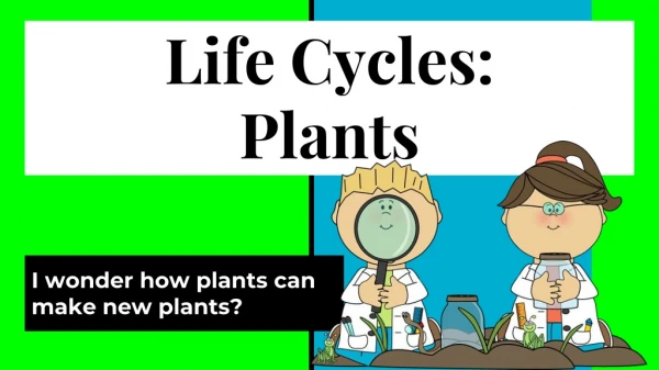 Life Cycles: Plants