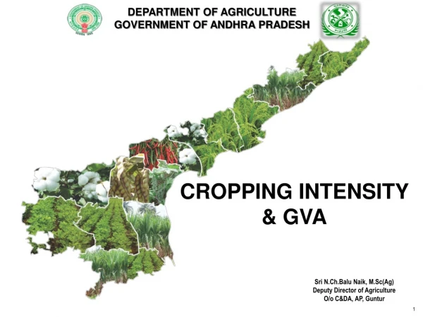 DEPARTMENT OF AGRICULTURE GOVERNMENT OF ANDHRA PRADESH