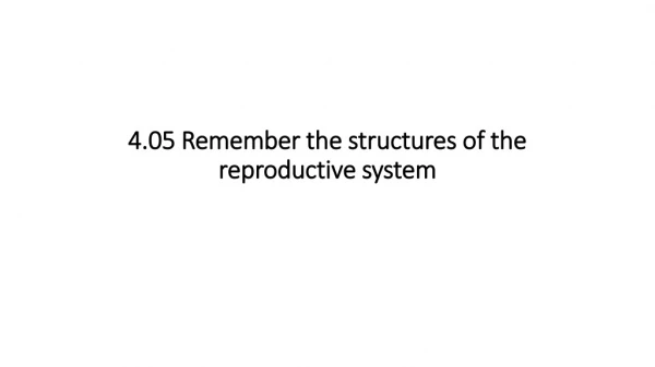 4.05 Remember the structures of the reproductive system