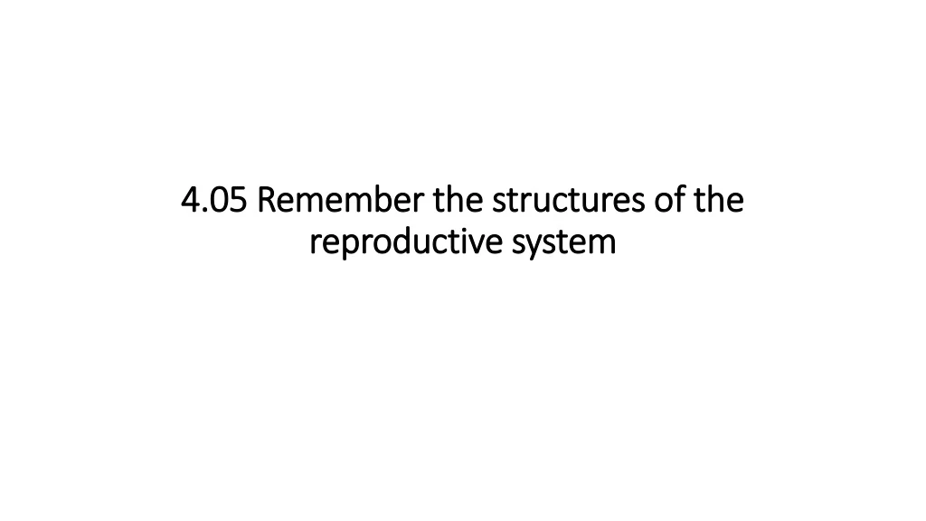 4 05 remember the structures of the reproductive system