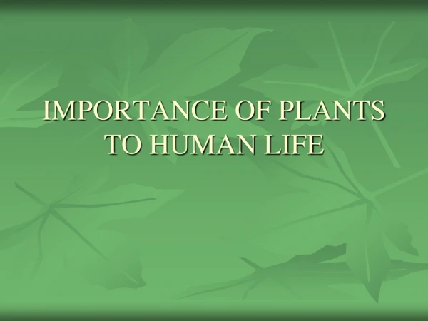 IMPORTANCE OF PLANTS TO HUMAN LIFE