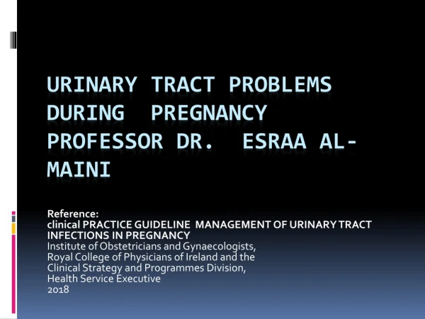 Urinary tract problems during pregnancy Professor Dr. Esraa AL- Maini