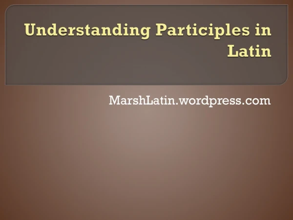 Understanding Participles in Latin