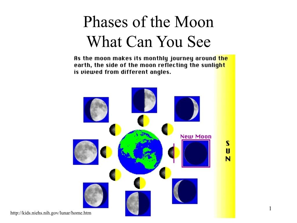 phases of the moon what can you see