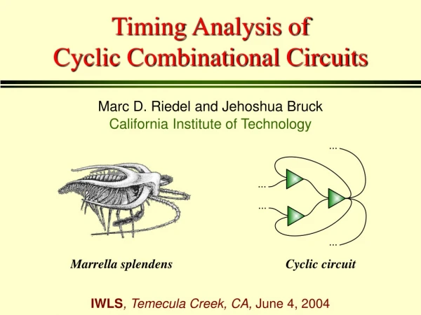 Timing Analysis of Cyclic Combinational Circuits
