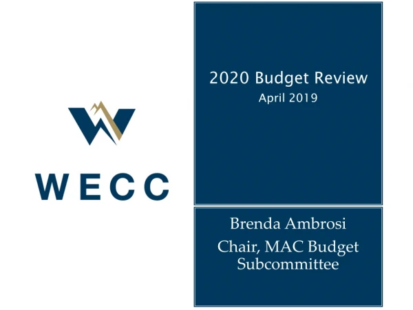 2020 Budget Review