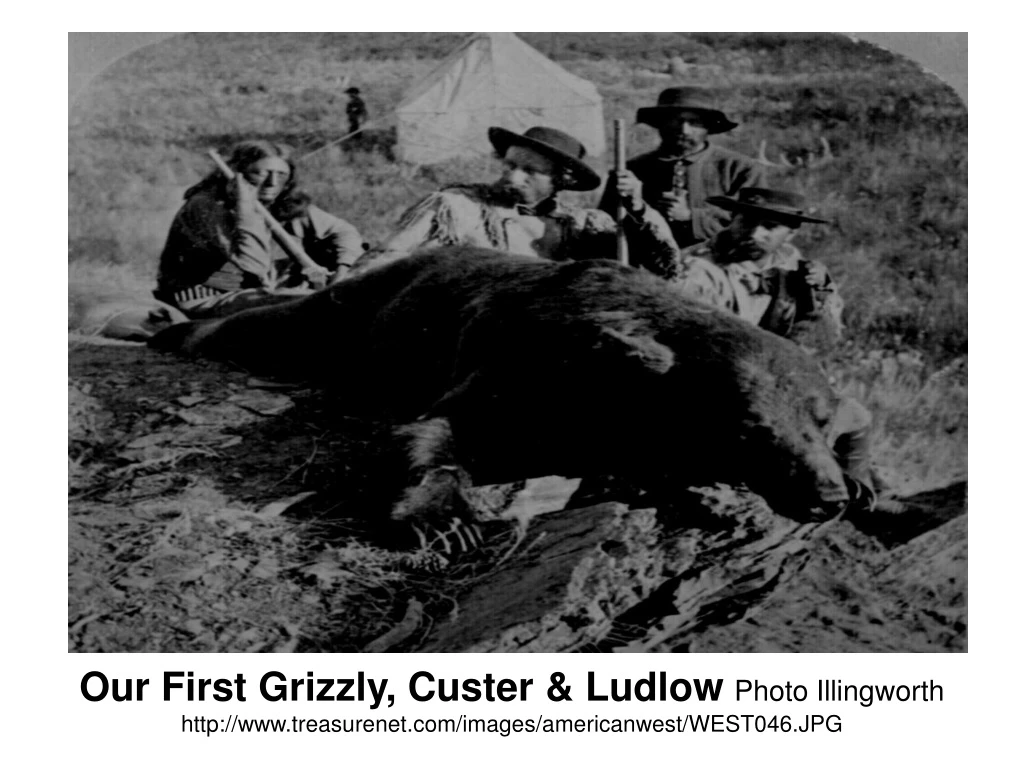 our first grizzly custer ludlow photo illingworth