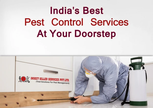 CERTIFIED BAYER PEST CONTROL EXPERT REMOVE PESTS, BUGS, TERMITES IN JAIPUR, RJ