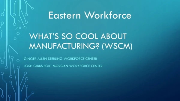 What’s So Cool About Manufacturing? (WSCM)