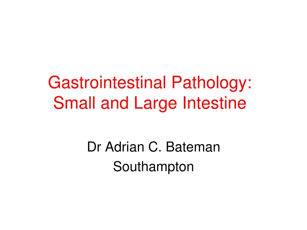 gastrointestinal pathology small and large intestine