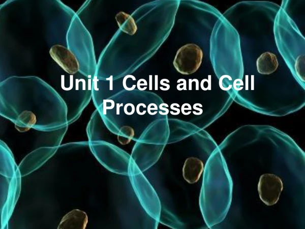 Unit 1 Cells and Cell Processes