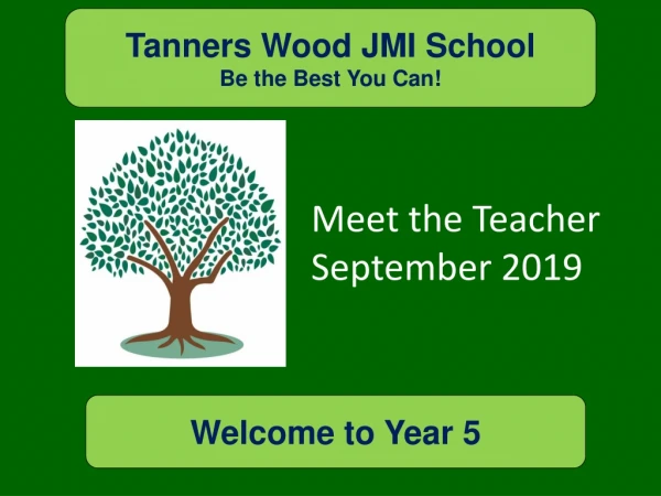 Tanners Wood JMI School Be the Best You Can!
