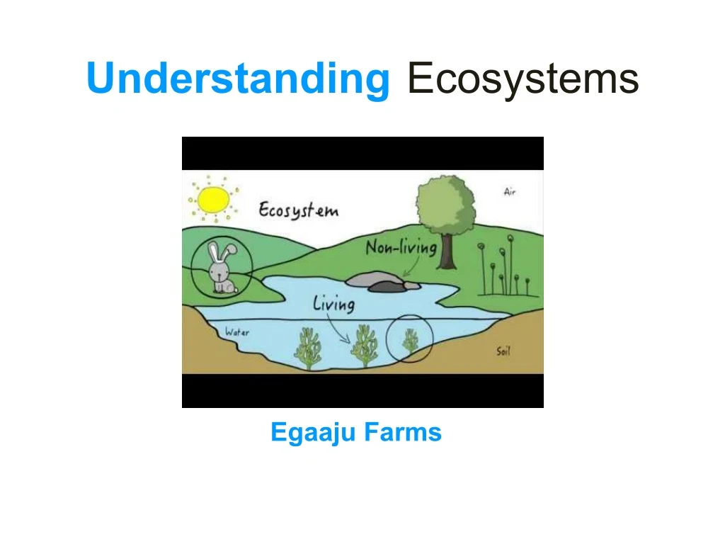 understanding ecosystems