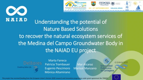 Understanding the potential of Nature Based Solutions