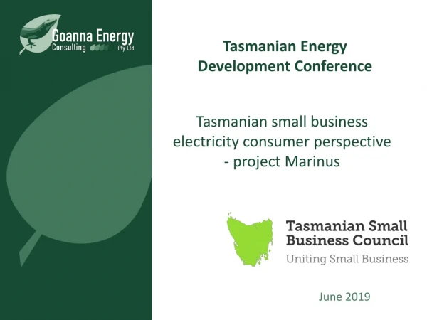 Tasmanian small business electricity consumer perspective - project Marinus