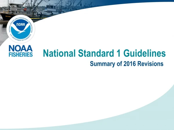 National Standard 1 Guidelines