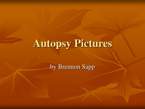 Autopsy Pictures