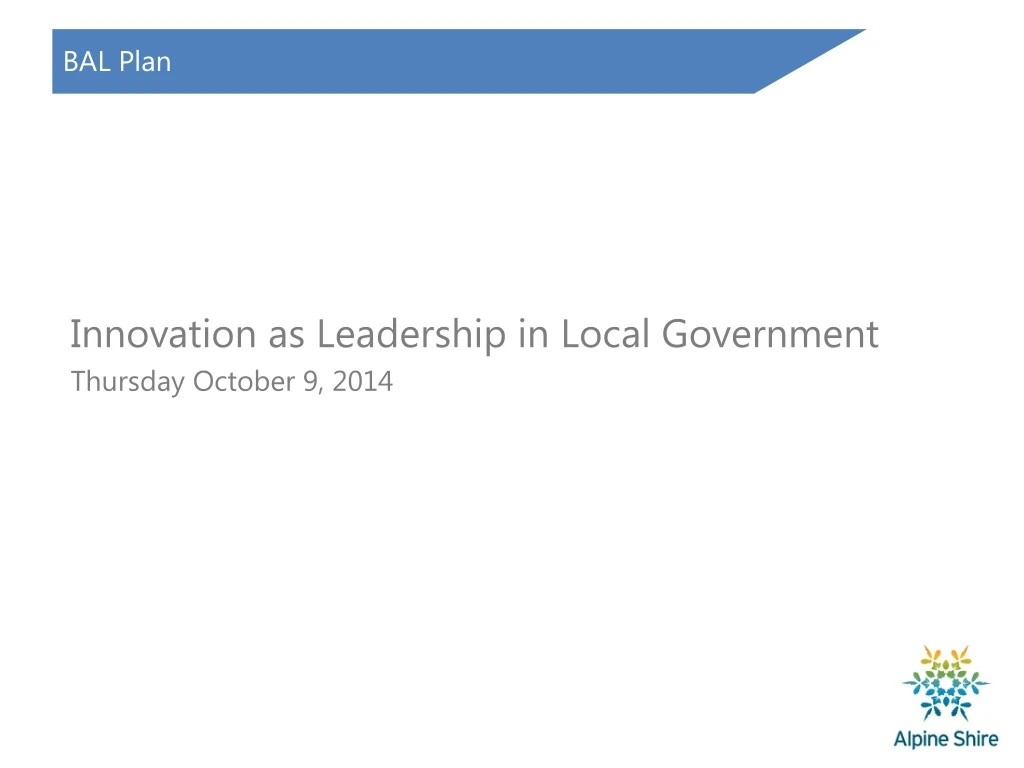 innovation as leadership in local government