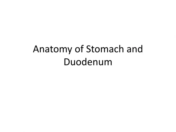 Anatomy of Stomach and Duodenum