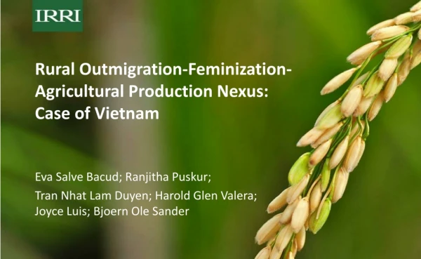 Rural Outmigration-Feminization-Agricultural Production Nexus: Case of Vietnam