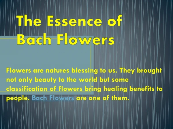 The Essence of Bach Flowers