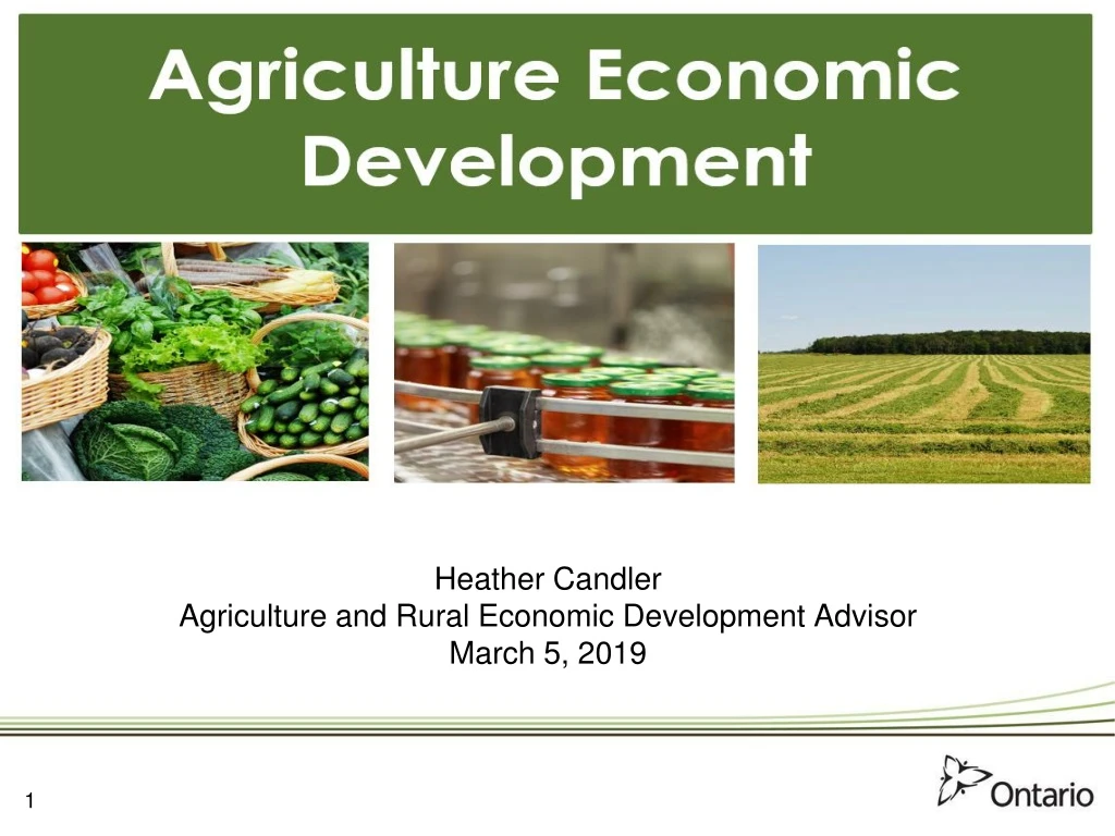 heather candler agriculture and rural economic