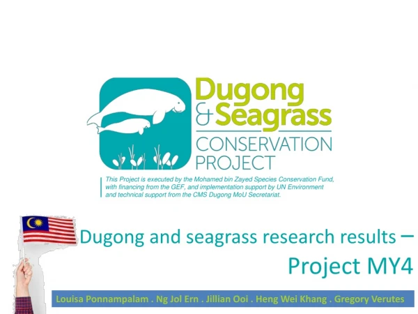 Dugong and seagrass research results – Project MY4