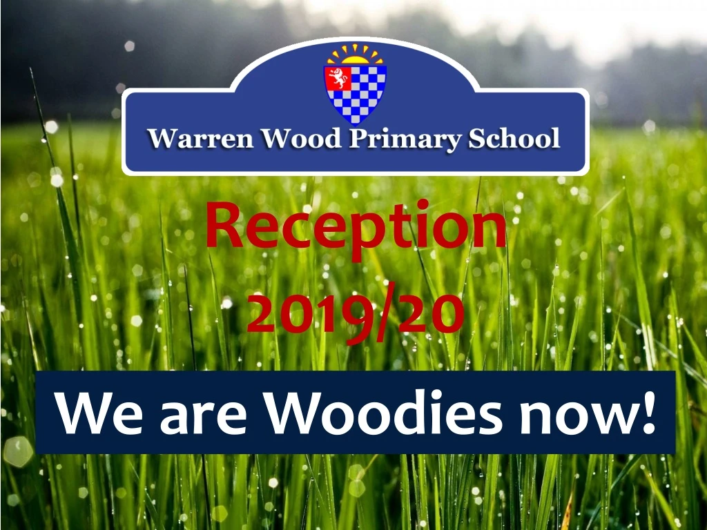 we are woodies now