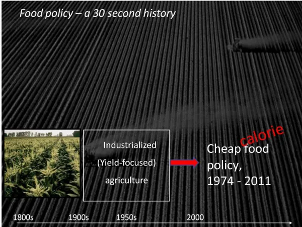 Industrialized Yield-focused agriculture