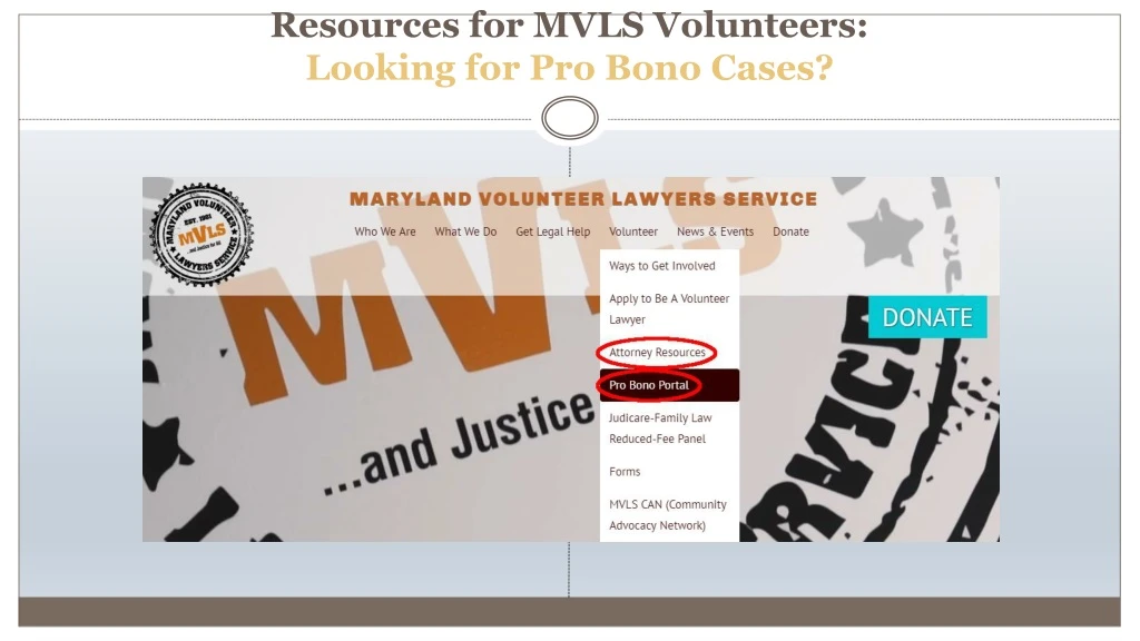 resources for mvls volunteers looking for pro bono cases