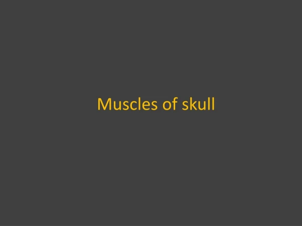 Muscles of skull