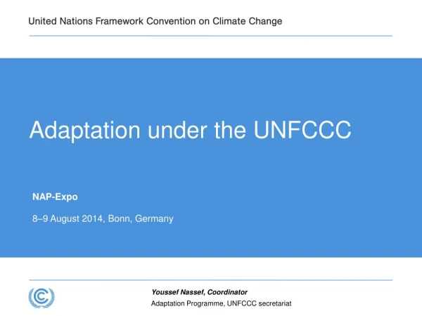 Adaptation under the UNFCCC