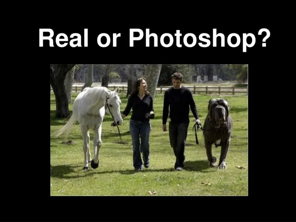 Real or Photoshop?