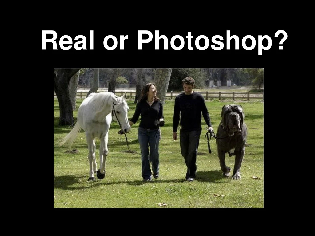 real or photoshop