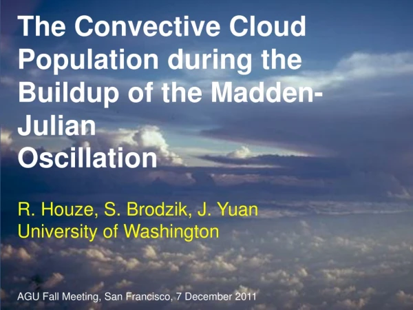 The Convective Cloud Population during the Buildup of the Madden-Julian Oscillation