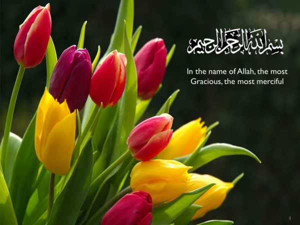 In the name of Allah, the most Gracious, the most merciful