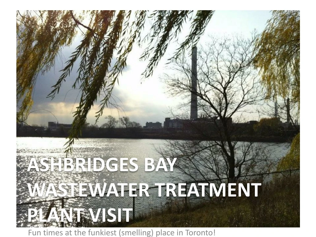 ashbridges bay wastewater treatment plant visit