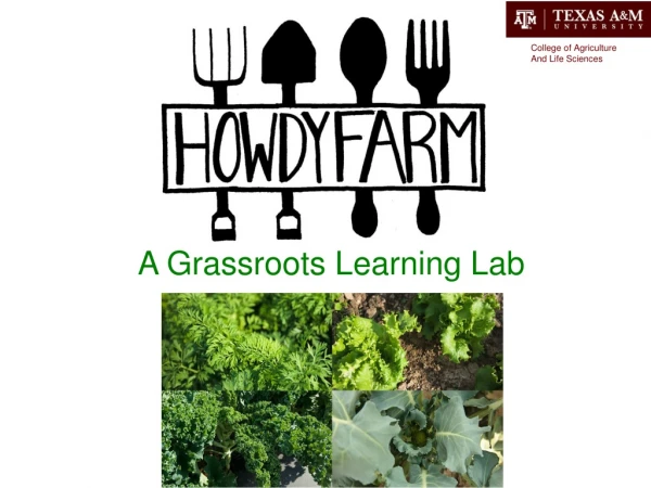A Grassroots Learning Lab