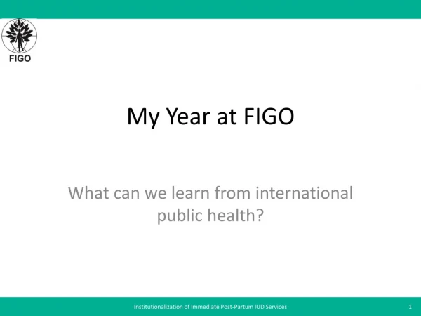 My Year at FIGO