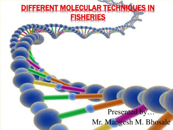 Different Molecular Techniques in Fisheries