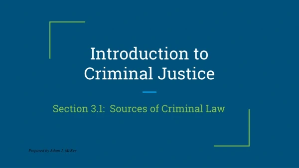 Introduction to Criminal Justice