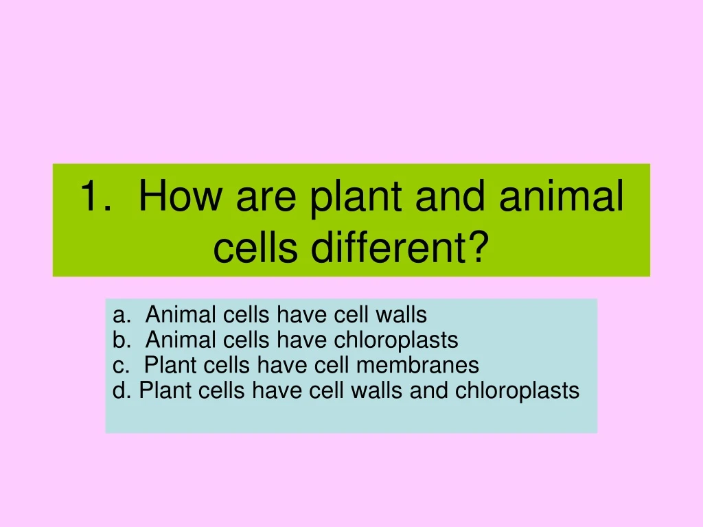 1 how are plant and animal cells different