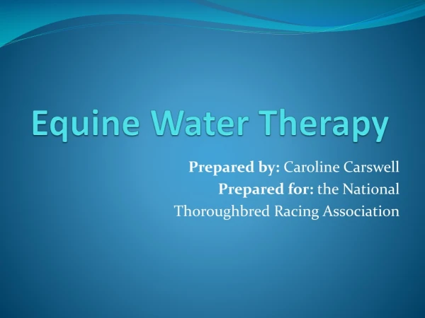 Equine Water Therapy
